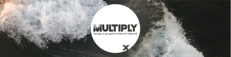 Multiply Website 800x200 1